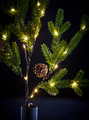 Lysgren med grankongler 32 LED H70 cm